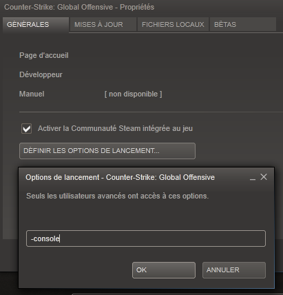 Ouvrir La Console Cs Go